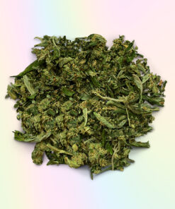 BUY SKYWALKER SHAKE ONLINE UK (HYBRID)