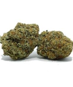 Buy Amnesia Haze Strain Online UK
