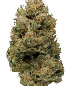 Buy Banana Kush Online in the UK