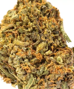 Buy Blue Cheese strain Online UK