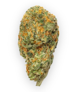 Buy Britscotti Online in the UK