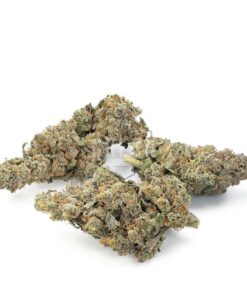 Buy Candyland Stain Online UK