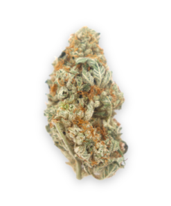 Buy Cookie Dawg in the UK