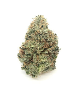 Buy Death Star Strain Online UK