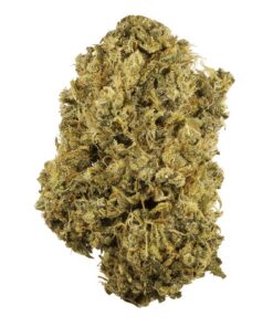 Buy Durban Poison Strain Online UK
