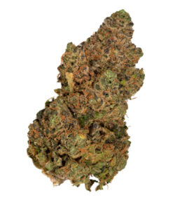 Buy Gelato x Zkittlez Online in the UK