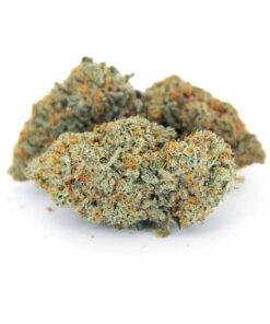 Buy Ghost Train Haze Strain Online UK