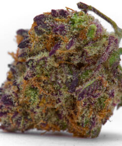 Buy God’s Gift Strain Online UK