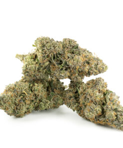 Buy Gorilla Glue Strain Online UK