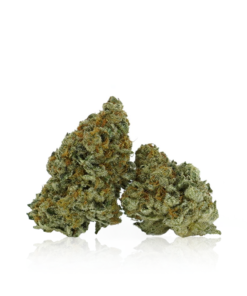  Buy Granddaddy Purple Online UK