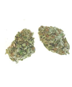 Buy Green Crack Strain Online UK
