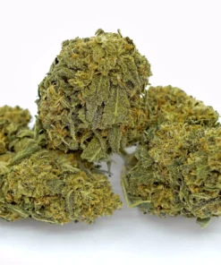Buy Green Dragon Strain Online UK