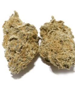 Buy Headband Strain Online UK