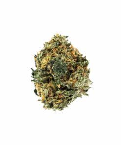 Buy Hindu Kush Strain Online UK