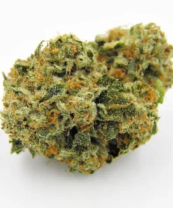 Buy Kosher Kush Strain Online UK