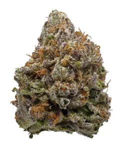 Buy Lavender Kush Strain Online UK