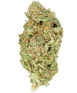 Buy Lemon Haze Strain Online UK
