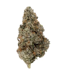 Buy Master Kush Strain Online UK