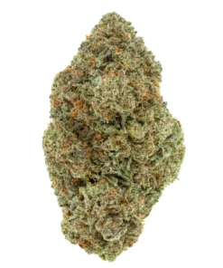 Buy Master OG strain (AAA+) Online UK