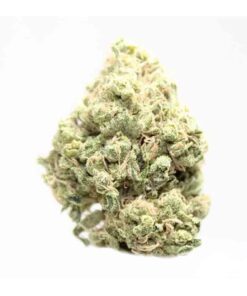 Buy Maui Wowie Strain Online UK