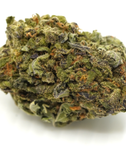 Buy Mr. Nice Guy Strain Online UK