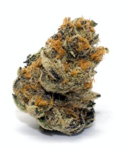 Buy Platinum Cookies Weed Strain Online UK