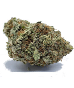Buy Purple Kush Online UK