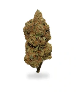 Buy White Rhino Strain Online UK