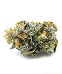 Buy Sugar Cookies Strain Online in the UK
