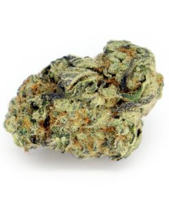 Buy Super Lemon Haze Strain Online UK