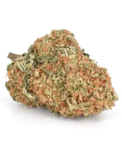 Buy Super Silver Haze Cannabis Online UK