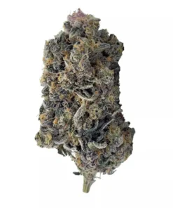 Buy Tropicana Cookies Strain Online UK