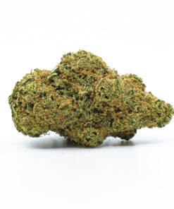 Buy White Widow Strain Online UK