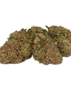 Buy Zkittlez Glue Online in the UK