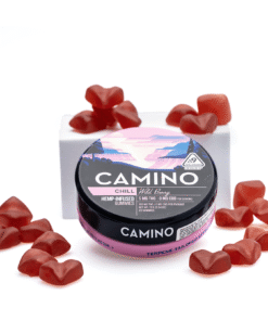 Camino Delta 9 Chill Gummies – Wild Berry (100 mg Delta 9 THC Total)
