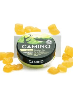 Camino Delta 9 and CBD Social Gummies – Sparkling Pear (40 mg Delta 9 THC + 120 mg CBD Total)