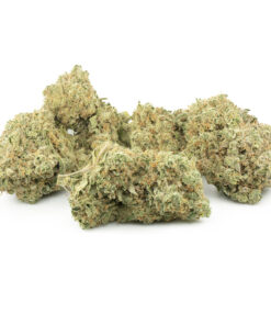 Girl Scout Cookies (GSC) Strain Online UK