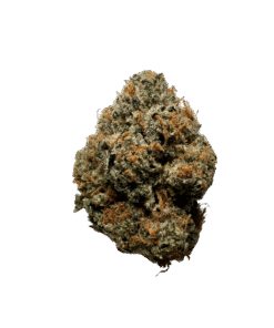 Stardawg