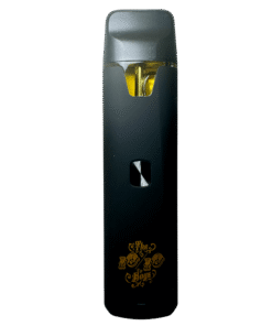 The 10/10 Boys Disposable THC Vape