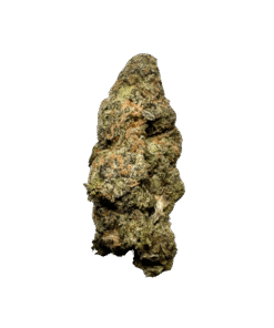 Kamikaze | Sherbmoney