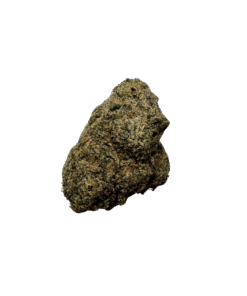 Zzapp | Terp Traders