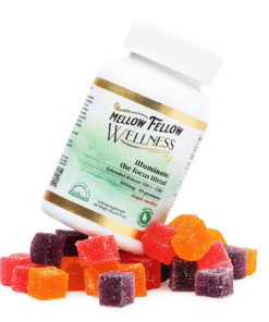 Mellow Fellow Wellness Gummies